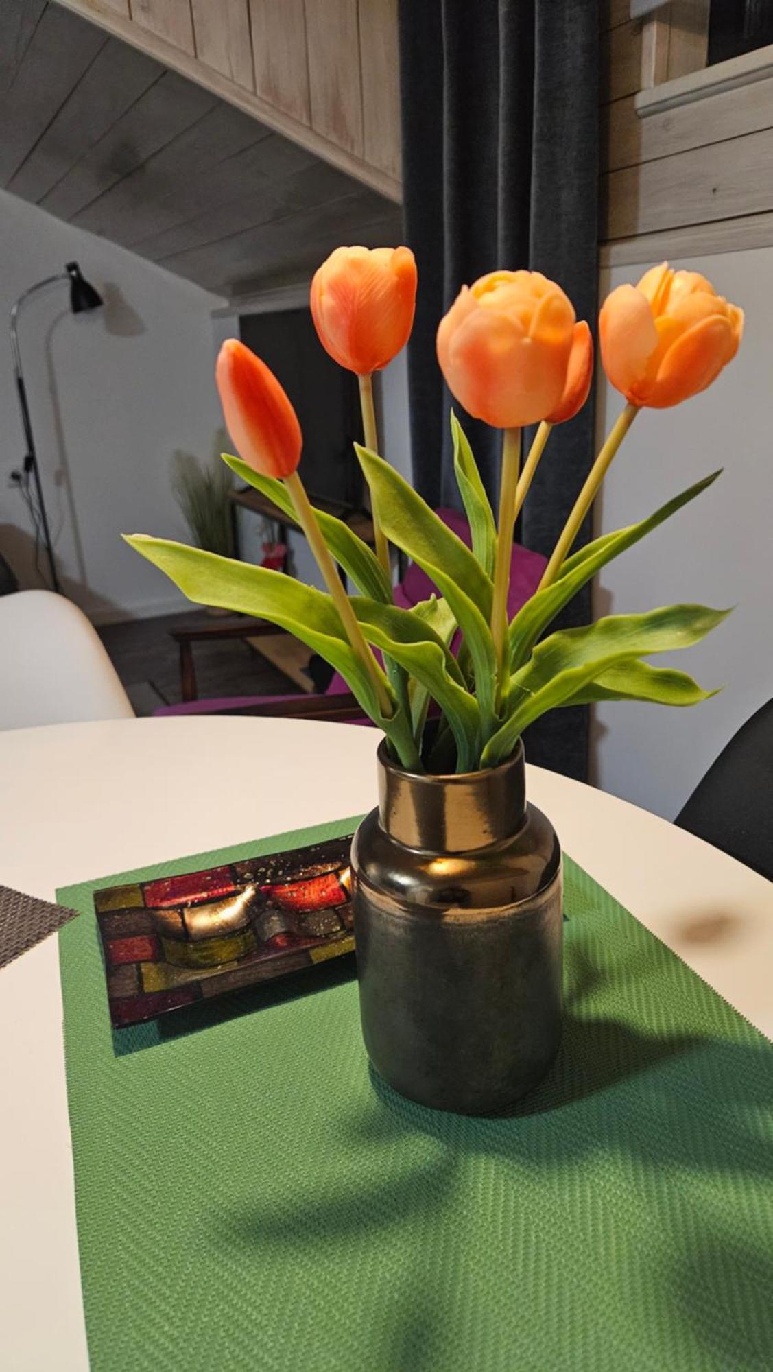 Studio Apartman Gradna Samobor Eksteriør billede