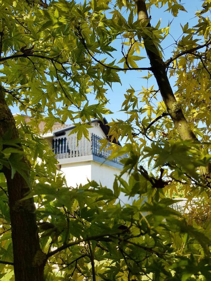 Studio Apartman Gradna Samobor Eksteriør billede